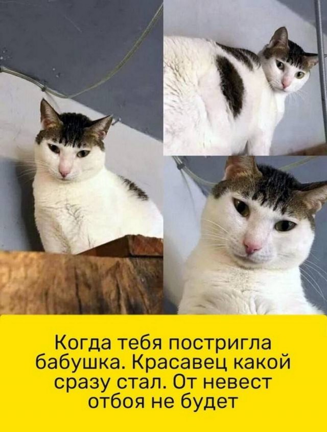 Картинки разные с надписями и без