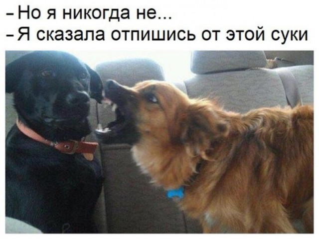 From the archives. Часть первая.