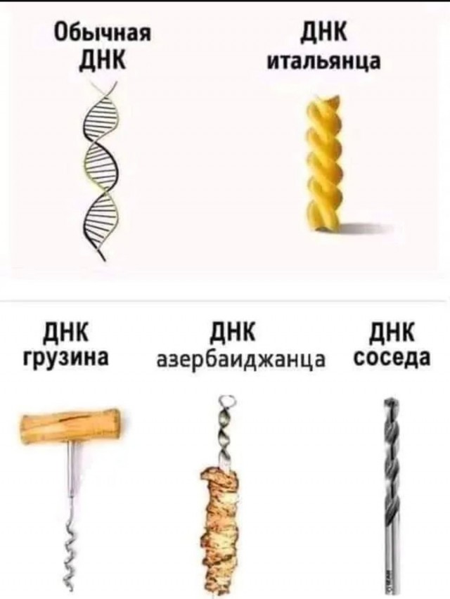 Жалуются на бояны местные.
