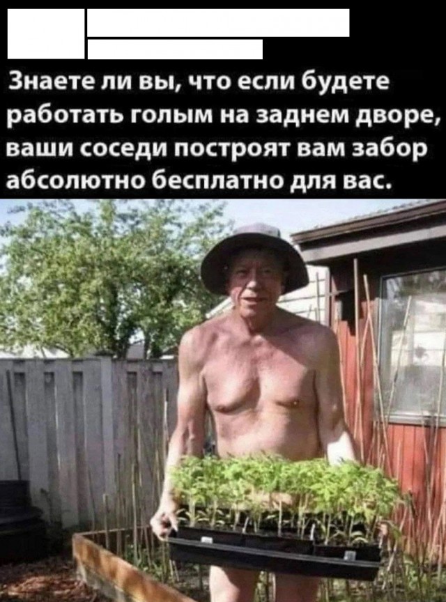 Так себе картинки 25.06.25