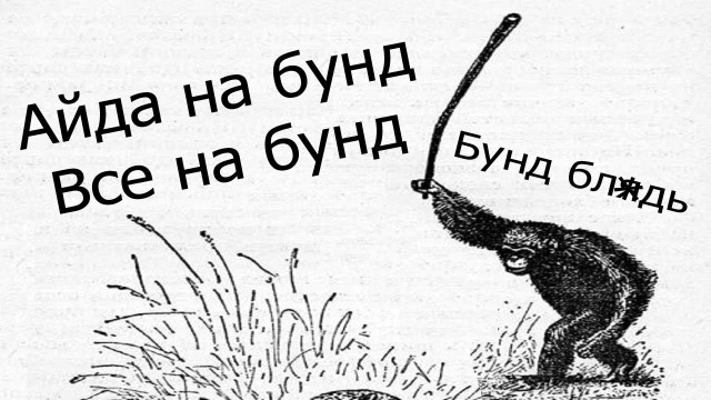 Вот где веселуха