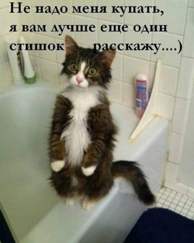 Так себе картинки 03.09.25