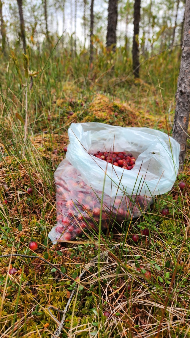 Озеро Лисичкино и другие