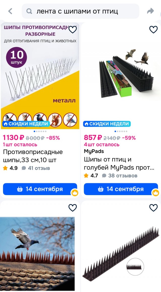 Метод против голубей "колхозный" конечно, но главное, что рабочий