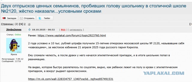 Исполнявшую песни иноагентов уличную певицу Наоко из Петербурга могут посадить на 7 лет