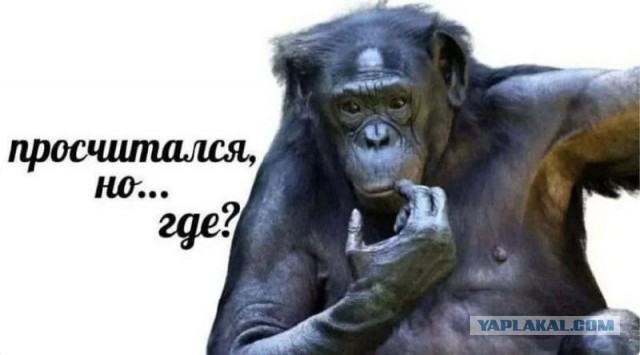 Мужик из Красноярска сделал донос на водителя автобуса и получил... три штрафа