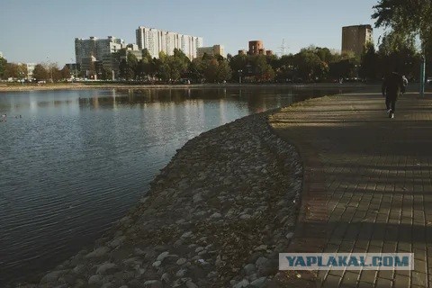 В эпицентре задержания