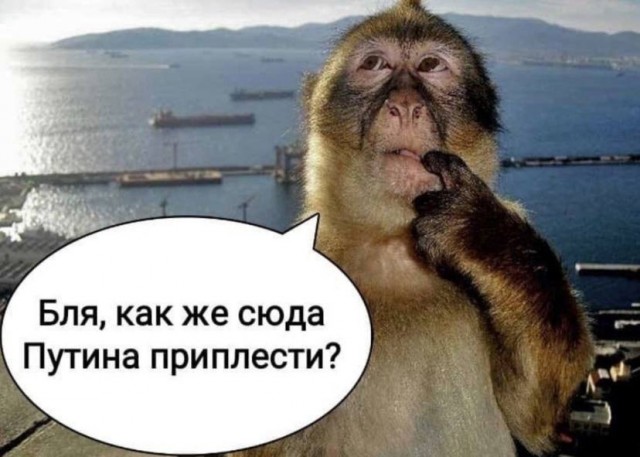 Это вам не Дисней