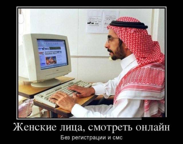 Картиночки, баянчики 29 декабря