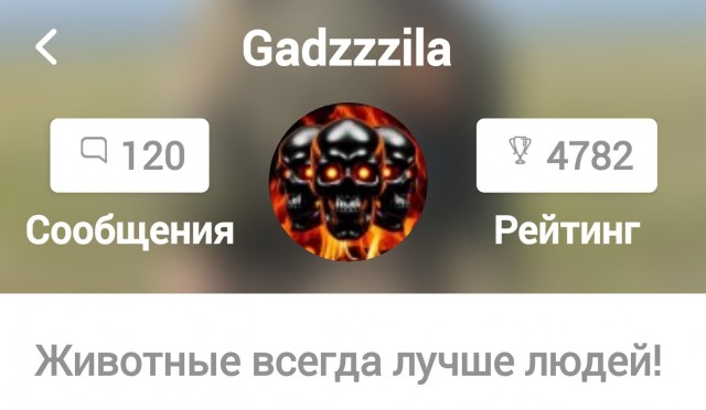 Гуляем, когда другие спят.