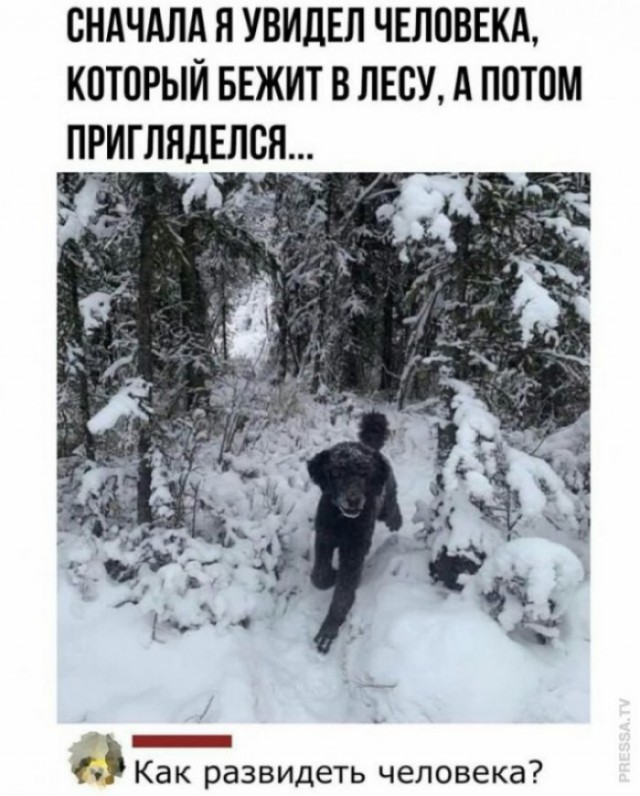 Собакочетверг же