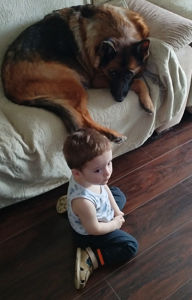 Собакочетверг же, но кошку из фото не выкинешь