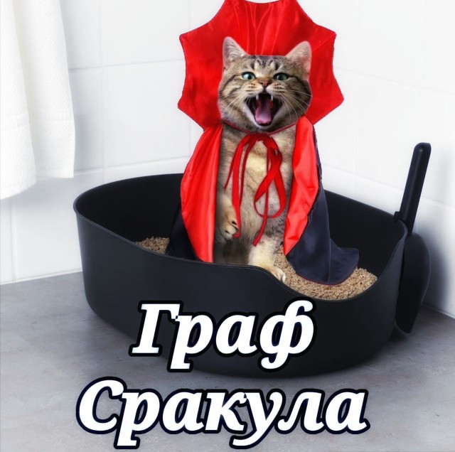Фотожаба: Грустный котик