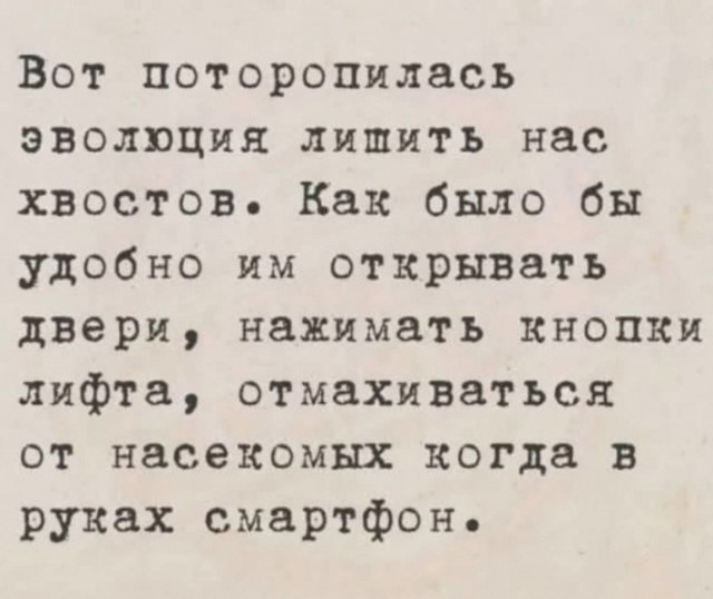 Картинки для деградации 224 (разной степени свежести)
