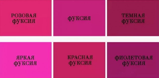 Помогите рассудить спор с цветом