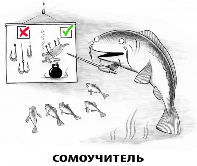 Отборный чёрный юмор карикатур Сергея Корсуна