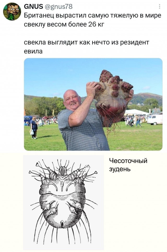 Картинки для деградации 301 (разной степени свежести)