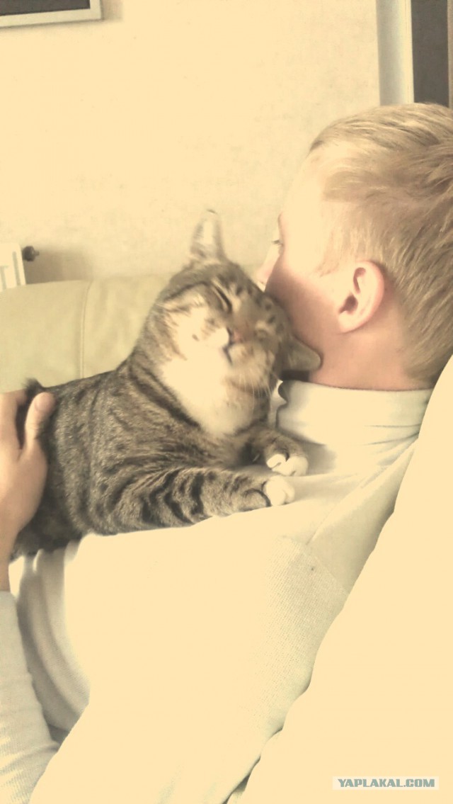 Котовторник 22.10.2013