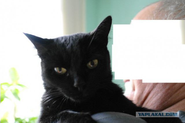 Все умрут, но некоторые не сегодня