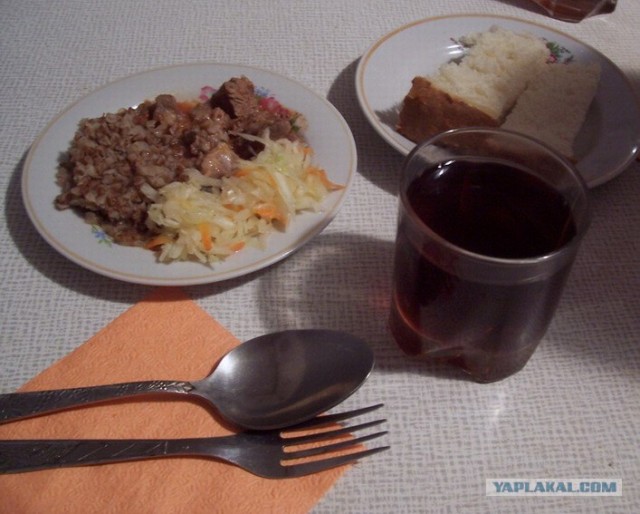 Чем кормят детей в школах разных стран?