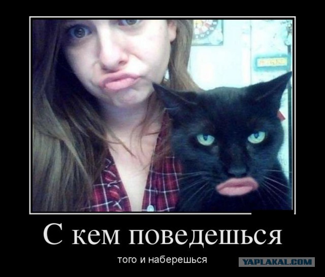 Картинки с инета.