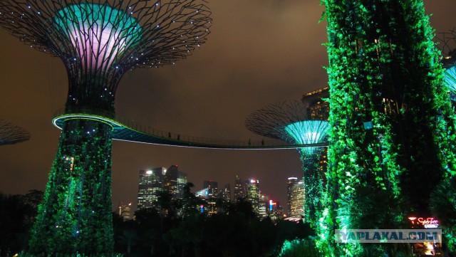 Сингапур. Гостиница "Марина Бэй"