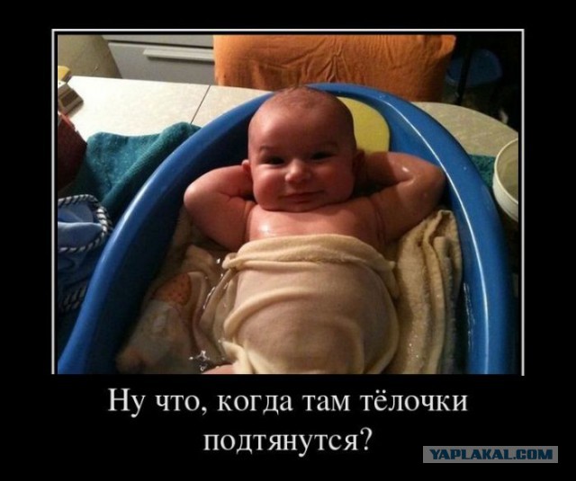 Веселые картинки