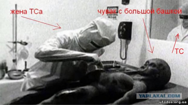 Жена мне хочет изменить...