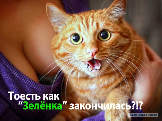 Славной Юкки пост.
