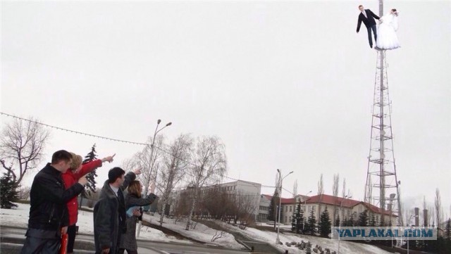 Свадебный трэш