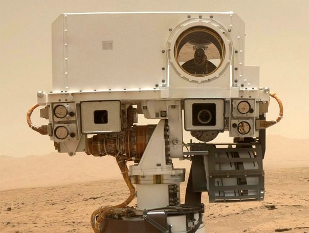 100 дней любопытства