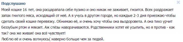 Подслушано. Как скучно я живу