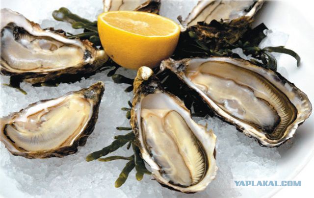 ТОП продуктов, повышающих женское желание