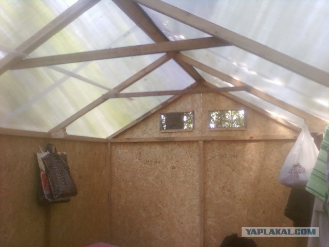 4 руки и 3 дня