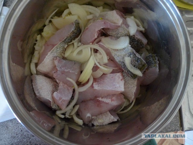 10 лет разделу "Кулинария"