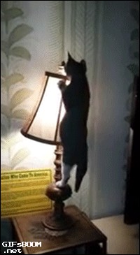 Феерическое ограбление. Вор неудачник - продавщица терминатор