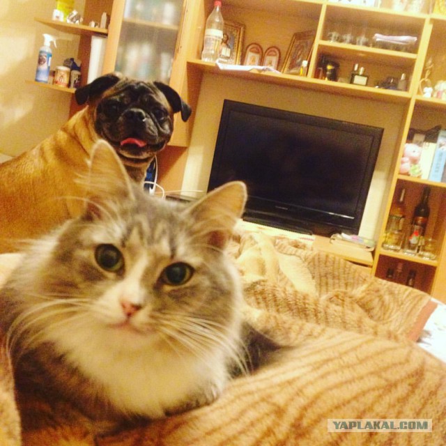 Памяти ушедшего рано Друга