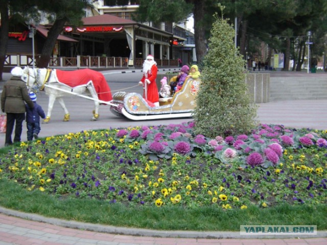 Вечерний Геленджик