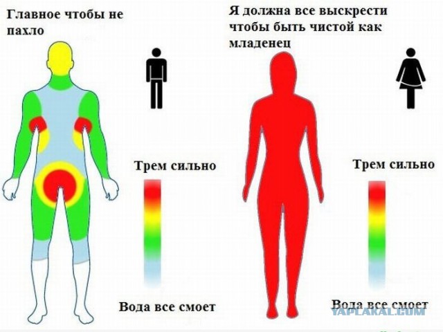 10 фактов о бассейнах, после которых вы в них больше не полезете