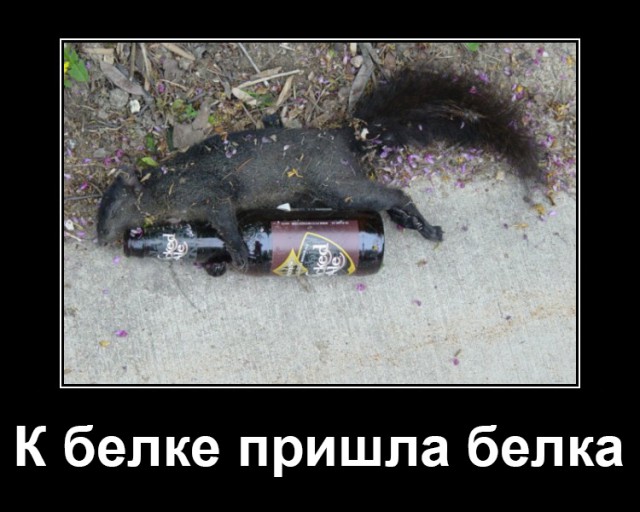 Трезвенникам, язвенникам - вход воспрещён!