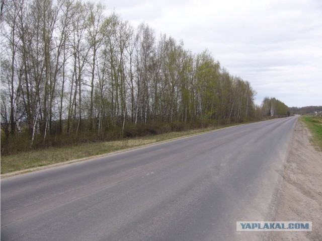 Атака перекати-поля