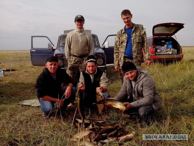 Нормально так поохотились