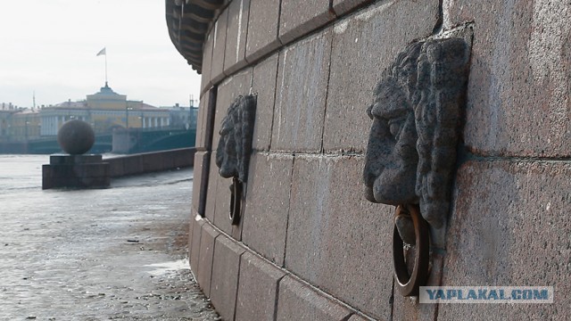 Про Питер и про то, как работает телевидение.
