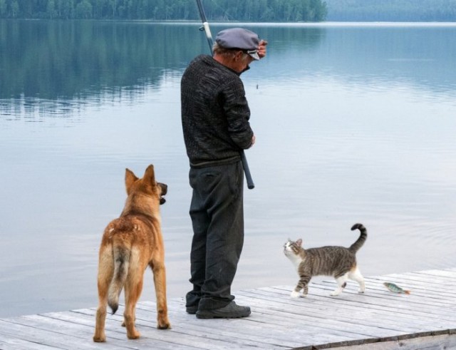 Подборка фотографий