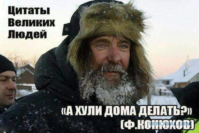 Смешные комментарии 23.04.2017