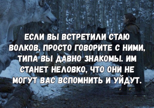 Лучшие шутки и мемы по 7 сезону «Игры престолов»