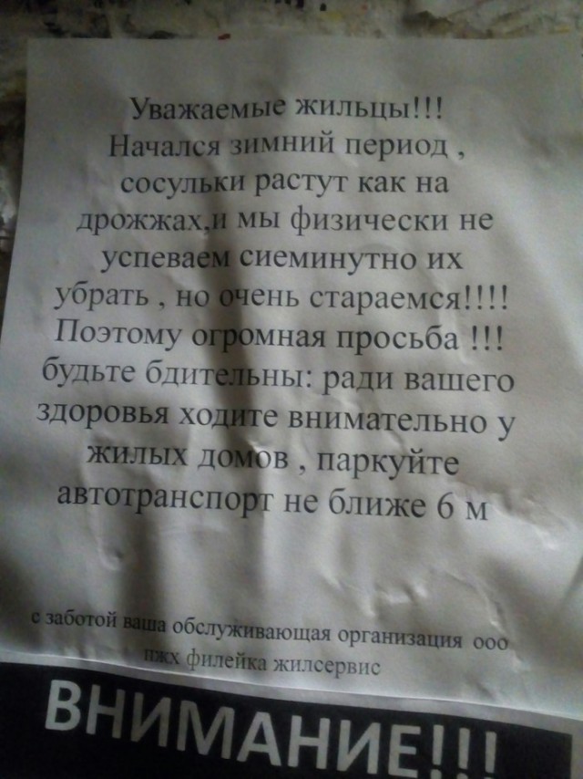 Народные перлы