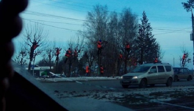 Подборка забавных картинок