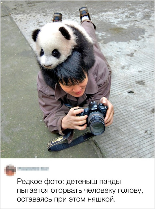 Комментарии из соцсетей