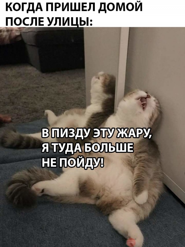 Прикольные картинки абавсём